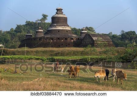 "Young herdsman with cattle in front of Htukkanthein, Dukkanthein or Htoekanthein Temple, Mrauk U, Sittwe Division, Rakhine State, Myanmar, Asia" View Large Photo Image Stock Image - "Young herdsman with cattle in front of Htukkanthein, Dukkanthein or Htoekanthein Temple, Mrauk U, Sittwe Division, Rakhine State, Myanmar, Asia". Fotosearch