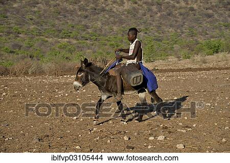 "Young Himba shepherd riding on his donkey, Ombombo, Kaokoland, Kunene, Namibia, Africa" View Large Photo Image Picture - "Young Himba shepherd riding on his donkey, Ombombo, Kaokoland, Kunene, Namibia, Africa". Fotosearch
