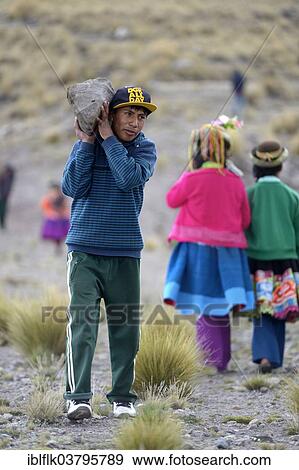 "Young man carrying a heavy stone to secure the shores of an artificial lake for irrigation, Quispillacta, Ayacucho, Peru, South America" View Large Photo Image Stock Photo - "Young man carrying a heavy stone to secure the shores of an artificial lake for irrigation, Quispillacta, Ayacucho, Peru, South America". Fotosearch