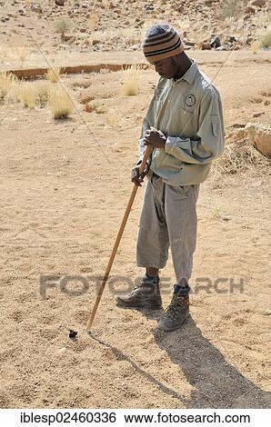 "Young ranger on a trail to the White Lady rock painting in the Tsisab Gorge, Brandberg, Damaraland, Namibia, Africa" View Large Photo Image Stock Photograph - "Young ranger on a trail to the White Lady rock painting in the Tsisab Gorge, Brandberg, Damaraland, Namibia, Africa". Fotosearch