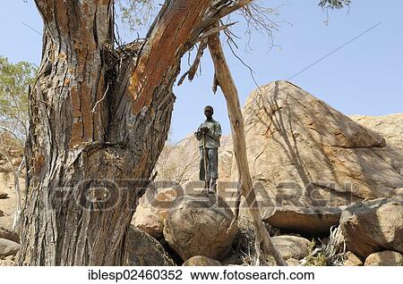 "Young Ranger standing at the path to the """"White Lady"""" in the Tsisab Gorge, Brandberg, Damaraland, Kunene Region, Namibia, Africa" View Large Photo Image Stock Image - "Young Ranger standing at the path to the """"White Lady"""" in the Tsisab Gorge, Brandberg, Damaraland, Kunene Region, Namibia, Africa". Fotosearch