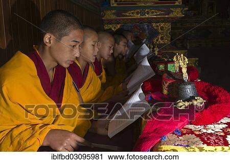 Stock Image - "Young Tibetan monks reading the holy scriptures in Tibetan language in monastery near Boudnath Stupa, Kathmandu Valley, Kathmandu, Kathmandu District, Bagmati Zone, Nepal, Asia". Fotosearch