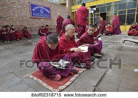 Stock Photography - "Young Tibetan novice monks in red robes reading religious texts, students at a Buddhist monastery, Tongren Monastery, Repkong, Qinghai, formerly Amdo, Tibet, China, Asia". Fotosearch