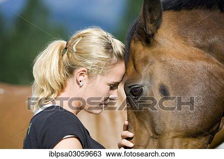 "Young woman cuddling an Austrian Warmblood, bay horse" View Large Photo Image Stock Image - "Young woman cuddling an Austrian Warmblood, bay horse". Fotosearch