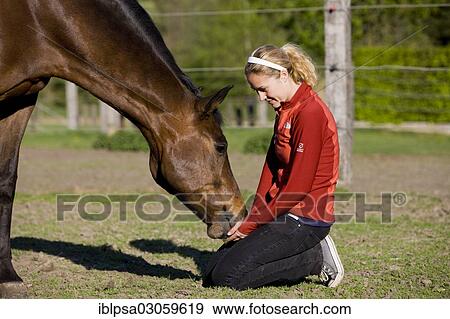 "Young woman cuddling an Austrian Warmblood, bay horse" View Large Photo Image Stock Photo - "Young woman cuddling an Austrian Warmblood, bay horse". Fotosearch