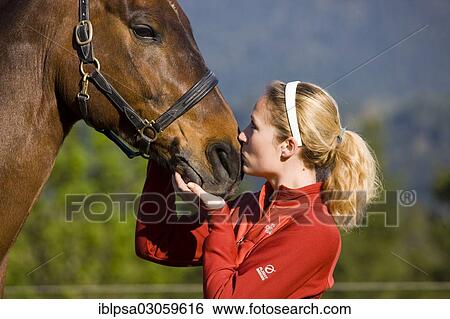 "Young woman cuddling an Austrian Warmblood, bay horse" View Large Photo Image Stock Photograph - "Young woman cuddling an Austrian Warmblood, bay horse". Fotosearch