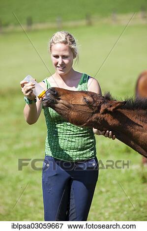 Stock Photo - "Young woman feeding a foal with a milk bottle, Austria, Europe". Fotosearch
