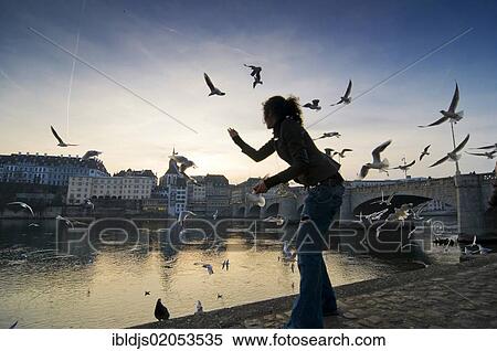 "Young woman feeding gulls on the Rhine river, behind the old town, Basel, Switzerland, Europe" View Large Photo Image Stock Photography - "Young woman feeding gulls on the Rhine river, behind the old town, Basel, Switzerland, Europe". Fotosearch
