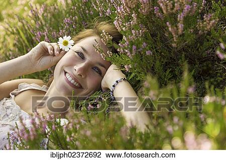 "Young woman holding a daisy (Leucanthemum vulgare), lying on a heather carpet" View Large Photo Image Stock Image - "Young woman holding a daisy (Leucanthemum vulgare), lying on a heather carpet". Fotosearch