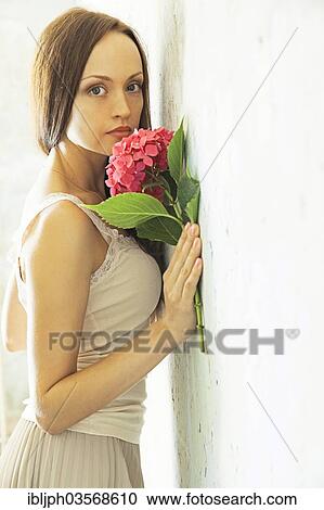 "Young woman holding a hydrangea, standing at a wall with peeling paint, Germany, Europe" View Large Photo Image Stock Image - "Young woman holding a hydrangea, standing at a wall with peeling paint, Germany, Europe". Fotosearch