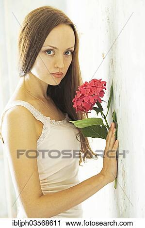 "Young woman holding a hydrangea, standing at a wall with peeling paint, Germany, Europe" View Large Photo Image Stock Image - "Young woman holding a hydrangea, standing at a wall with peeling paint, Germany, Europe". Fotosearch