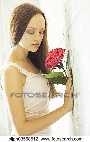 Stock Image - "Young woman holding a hydrangea, standing at a wall with peeling paint, Germany, Europe". Fotosearch