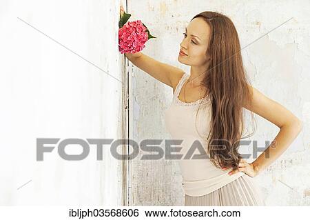 "Young woman holding a hydrangea, standing at a wall with peeling paint, Germany, Europe" View Large Photo Image Stock Photograph - "Young woman holding a hydrangea, standing at a wall with peeling paint, Germany, Europe". Fotosearch