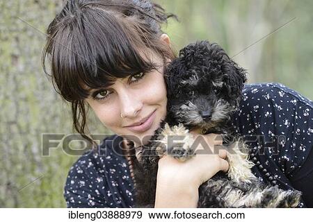 "Young woman holding a Toy Poodle or Teacup Poodle, black and tan coat, Austria, Europe" View Large Photo Image Stock Photo - "Young woman holding a Toy Poodle or Teacup Poodle, black and tan coat, Austria, Europe". Fotosearch
