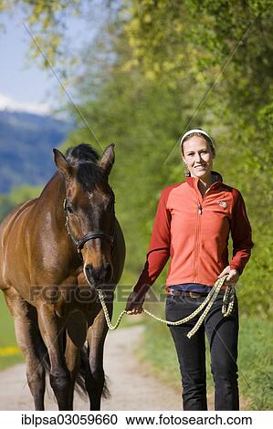 "Young woman leading an Austrian Warmblood, bay horse" View Large Photo Image Stock Image - "Young woman leading an Austrian Warmblood, bay horse". Fotosearch