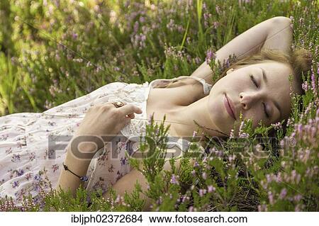 Young woman lying on a heather carpet View Large Photo Image Picture - Young woman lying on a heather carpet. Fotosearch