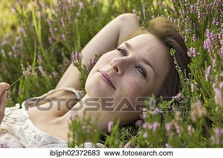 Stock Image - Young woman lying on a heather carpet. Fotosearch