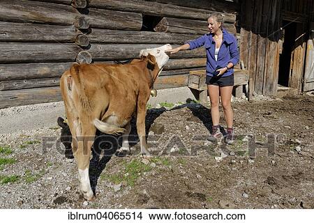 "Young woman petting a calf, Wildbad Kreuth, Bavaria, Germany, Europe" View Large Photo Image Picture - "Young woman petting a calf, Wildbad Kreuth, Bavaria, Germany, Europe". Fotosearch