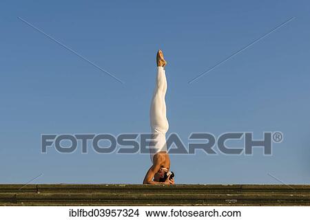 Picture - "Young woman practising Hatha yoga, outdoors, showing the pose Sirshasana, Head stand". Fotosearch