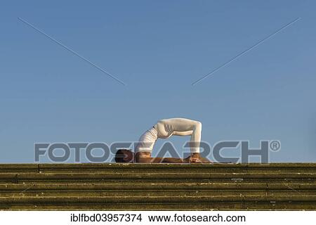 "Young woman practising Hatha yoga, outdoors, showing the pose variation of Halasana, Supta konasana, variation of Plough" View Large Photo Image Picture - "Young woman practising Hatha yoga, outdoors, showing the pose variation of Halasana, Supta konasana, variation of Plough". Fotosearch