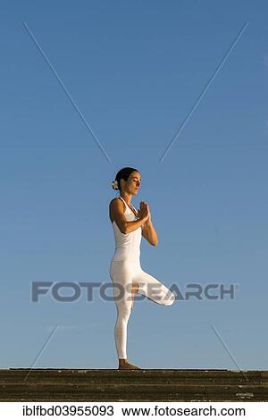 "Young woman practising Hatha yoga, outdoors, showing the pose Vrikshasana, tree" View Large Photo Image Stock Image - "Young woman practising Hatha yoga, outdoors, showing the pose Vrikshasana, tree". Fotosearch