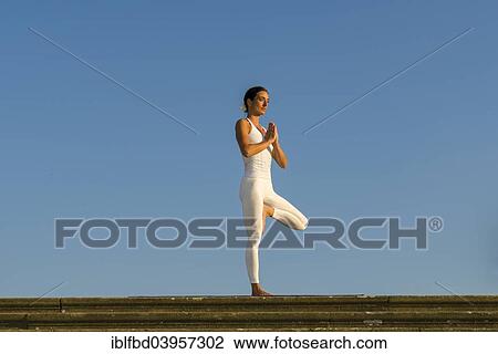 "Young woman practising Hatha yoga, outdoors, showing the pose Vrikshasana, tree" View Large Photo Image Stock Image - "Young woman practising Hatha yoga, outdoors, showing the pose Vrikshasana, tree". Fotosearch