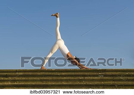 Stock Image - "Young woman practising Hatha yoga, outdoors, showing the pose Adho mukha shvanasana, Dog's pose". Fotosearch