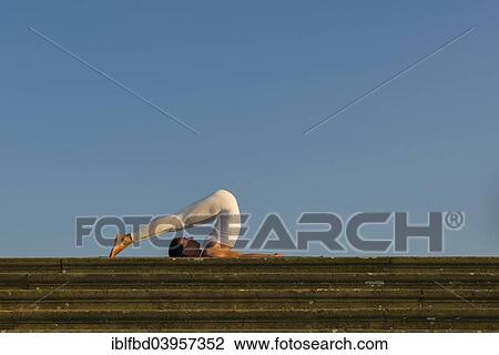"Young woman practising Hatha yoga, outdoors, showing the pose Halasana, Plough" View Large Photo Image Stock Image - "Young woman practising Hatha yoga, outdoors, showing the pose Halasana, Plough". Fotosearch