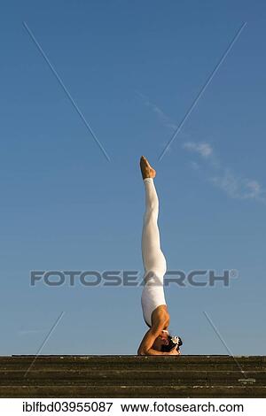 "Young woman practising Hatha yoga, outdoors, showing the pose Sirshasana, head stand" View Large Photo Image Stock Photo - "Young woman practising Hatha yoga, outdoors, showing the pose Sirshasana, head stand". Fotosearch