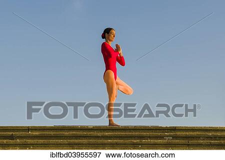 "Young woman practising Hatha yoga, outdoors, showing the pose Vrikshasana, Tree" View Large Photo Image Stock Photo - "Young woman practising Hatha yoga, outdoors, showing the pose Vrikshasana, Tree". Fotosearch