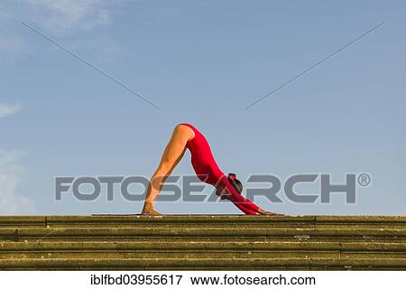"Young woman practising Hatha yoga, outdoors, showing the pose Adho Mukha Shvanasana, Dog's pose" View Large Photo Image Stock Photo - "Young woman practising Hatha yoga, outdoors, showing the pose Adho Mukha Shvanasana, Dog's pose". Fotosearch