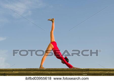 "Young woman practising Hatha yoga, outdoors, showing the pose Adho Mukha Shvanasana, Dog's pose" View Large Photo Image Stock Photo - "Young woman practising Hatha yoga, outdoors, showing the pose Adho Mukha Shvanasana, Dog's pose". Fotosearch