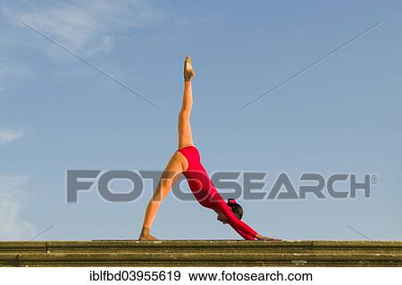 "Young woman practising Hatha yoga, outdoors, showing the pose Adho Mukha Shvanasana, Dog's pose" View Large Photo Image Stock Photo - "Young woman practising Hatha yoga, outdoors, showing the pose Adho Mukha Shvanasana, Dog's pose". Fotosearch