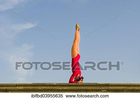 "Young woman practising Hatha yoga, outdoors, showing the pose Sirshasana, Head stand" View Large Photo Image Stock Photography - "Young woman practising Hatha yoga, outdoors, showing the pose Sirshasana, Head stand". Fotosearch