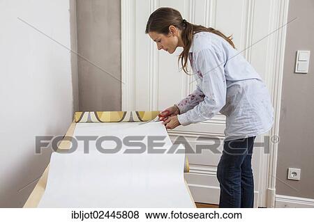 Young woman preparing wallpaper for wallpapering the walls View Large Photo Image Stock Photo - Young woman preparing wallpaper for wallpapering the walls. Fotosearch