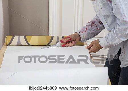 Young woman preparing wallpaper for wallpapering the walls View Large Photo Image Stock Photo - Young woman preparing wallpaper for wallpapering the walls. Fotosearch