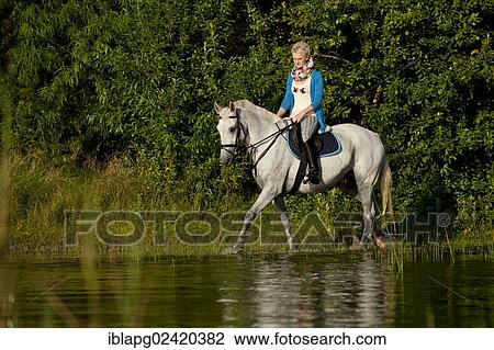 Young woman riding a Hanoverian horse through a lake View Large Photo Image Stock Image - Young woman riding a Hanoverian horse through a lake. Fotosearch