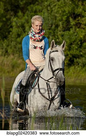 Young woman riding a Hanoverian horse through a lake View Large Photo Image Stock Image - Young woman riding a Hanoverian horse through a lake. Fotosearch