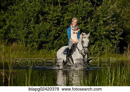 Young woman riding a Hanoverian horse through a lake View Large Photo Image Stock Photo - Young woman riding a Hanoverian horse through a lake. Fotosearch