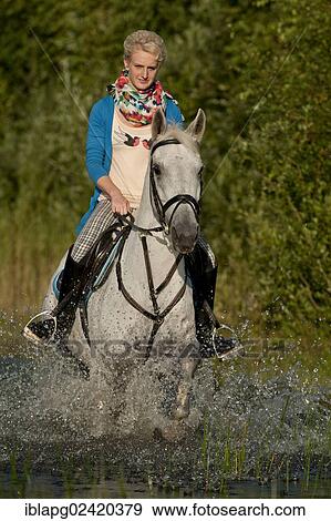 Young woman riding a Hanoverian horse through a lake View Large Photo Image Stock Photo - Young woman riding a Hanoverian horse through a lake. Fotosearch