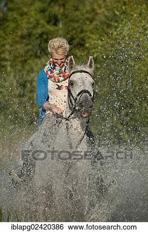 Young woman riding a Hanoverian horse through a lake View Large Photo Image Stock Photograph - Young woman riding a Hanoverian horse through a lake. Fotosearch