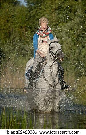 Young woman riding a Hanoverian horse through a lake View Large Photo Image Stock Photography - Young woman riding a Hanoverian horse through a lake. Fotosearch