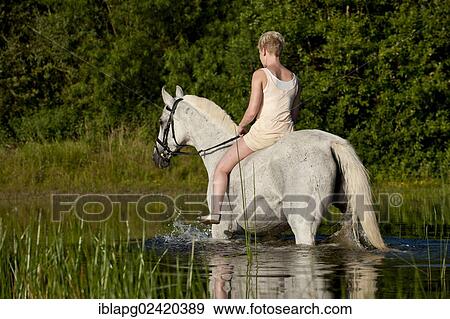 Young woman riding bareback on a Hanoverian horse through a lake View Large Photo Image Stock Photo - Young woman riding bareback on a Hanoverian horse through a lake. Fotosearch