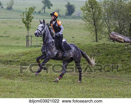 Stock Image - "Young woman, show jumping with a Holsteiner horse, Crawinkel, Thuringia, Germany, Europe". Fotosearch