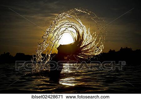 "Young woman standing in the sea throwing back her long hair with splashing water, sunset on the Adriatic Sea, Jesolo, Italy, Europe" View Large Photo Image Stock Image - "Young woman standing in the sea throwing back her long hair with splashing water, sunset on the Adriatic Sea, Jesolo, Italy, Europe". Fotosearch