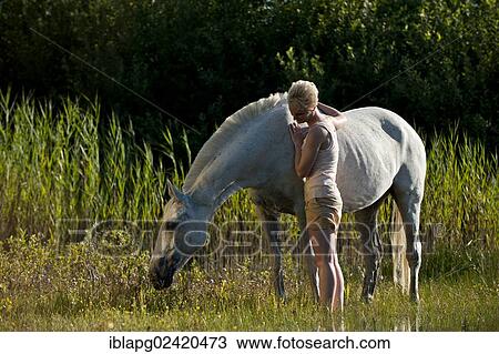 Young woman standing with a Hanoverian horse in a lake View Large Photo Image Stock Image - Young woman standing with a Hanoverian horse in a lake. Fotosearch