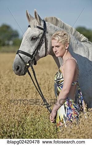 Young woman standing with a Hanoverian horse in a cornfield View Large Photo Image Stock Photo - Young woman standing with a Hanoverian horse in a cornfield. Fotosearch