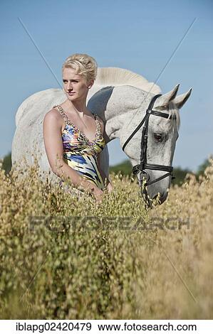Young woman standing with a Hanoverian horse in a cornfield View Large Photo Image Stock Photo - Young woman standing with a Hanoverian horse in a cornfield. Fotosearch