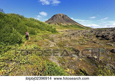 "Young woman trekking, Krafla, North Iceland, Iceland, Europe" View Large Photo Image Picture - "Young woman trekking, Krafla, North Iceland, Iceland, Europe". Fotosearch