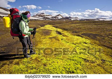 Stock Image - "Young woman with a backpack, trekking, Landmannalaugar, Iceland, Europe". Fotosearch